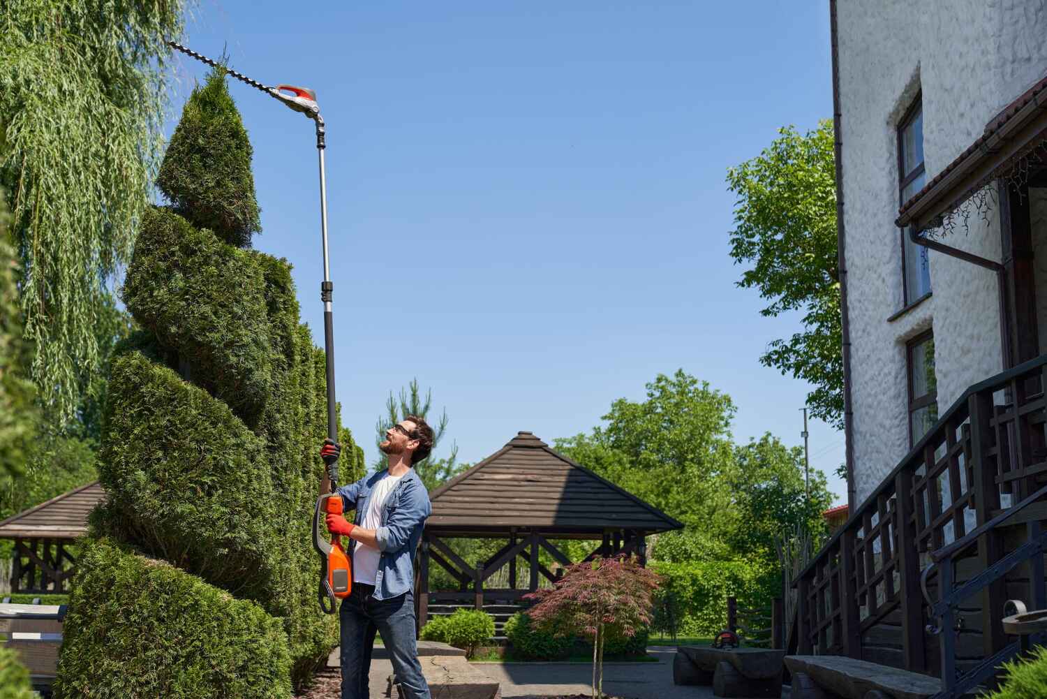 Best Tree Trimming Near Me  in Machesney Park, IL